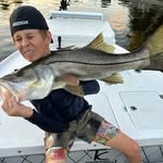 David Beekman - @davidbeekman12 - Instagram