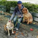 david beekveldt - @davidbeekveldt - Instagram