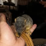 David Beekman - @d.beekman66 - Instagram
