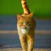 David Been - Facebook