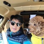David Been - @been1753 - Instagram