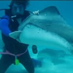 David Beene - @textaz13 - Instagram