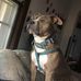 David Beerbower - Facebook