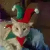 David Bower - @david.bower05 - TikTok