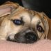 David Beery - Facebook