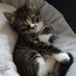 David Beeston - @david.beeston2580 - Instagram