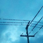 David Beeson - @david.beeson.12 - Instagram