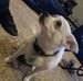 David Beeson - Facebook