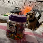 David Beever - @dbeever2 - Instagram