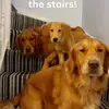 davidbeever467 - @davidbeever467 - TikTok