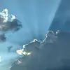 David Beezley - @david.beezley - TikTok