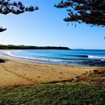 David Begg - @d_begg - Instagram