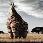 David Behal - @davidbehal - Instagram