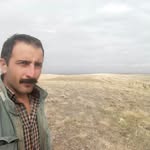 david beheshti - @davidbeheshti - Instagram