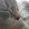 David Behljulji - @david.behljulji - TikTok