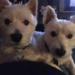 David Behm - @david.behm.73 - Instagram