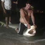 David Behm - @behmdavid - Instagram