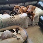 David Behney - @davidbehney - Instagram