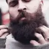 davidbehr3 - @davidbehr3 - TikTok