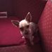 David Behrens - Facebook