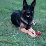 David Behringer - @davidbehringer514 - Instagram