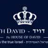 Beith David - @beith.david - TikTok