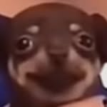 DavidBejan - @d3vidbejan - Instagram