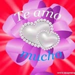 David Bejerano - @bejerano_david - Instagram