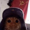 David Bejerano - @david.bejerano5 - TikTok