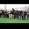 david bekaert569 - @davidbekaert83 - TikTok