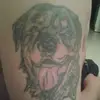 David Bekaert - @david.bekaert - TikTok