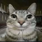 David Belding - @dingusbingus_frfr - Instagram