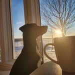 David Béliveau - @beliveau_651 - Instagram