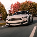 David Béliveau - @db.gt350 - Instagram