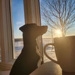 David Béliveau - Facebook