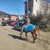 David Belmar - @user778688265881 - TikTok