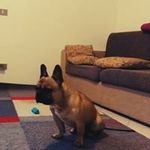 David Di Benedetto - @dibenedetto_david - Instagram