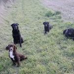 David Benham - @david.benham.1650 - Instagram