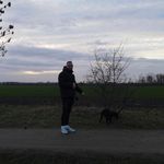 David Bergmann - @davidbrgm - Instagram