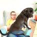David Bergquist - Facebook