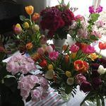 David Bergquist Bergquis - @srikanta7640 - Instagram