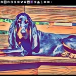 David Berman - @db420420 - Instagram