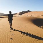 David Bernstein - @david.ber33 - Instagram
