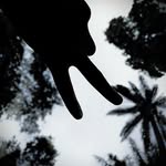 David Bernstein - @dxvid_stein - Instagram