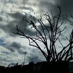 David Bernstein - @david_bernstein1968 - Instagram