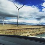 David Bernstein - @davidbernstein1981 - Instagram