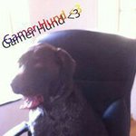 David Stæhr Bertelsen - @needaangel - Instagram