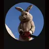 user3038905977965 - @david_besser - TikTok
