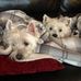 David Beswick - Facebook