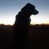 davidbewick2 - @davidbewick2 - TikTok